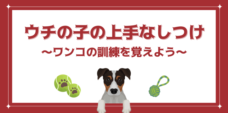 ウチの子の上手なしつけ〜ワンコの訓練を覚えよう〜